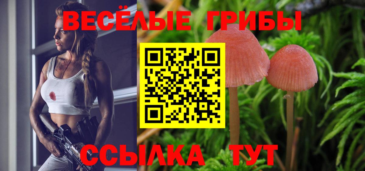 Псилоцибиновые грибы MAGIC MUSHROOMS Кольчугино