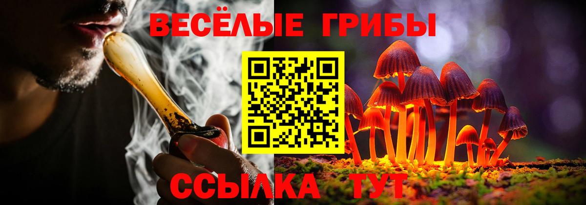 где купить наркотик  Галлюциногенные грибы прущие грибы  Вход с VPN  Кольчугино  Псилоцибиновые грибы Cubensis 